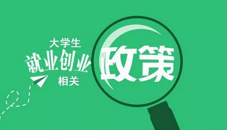 创业园补贴政策详解，助力初创企业追梦